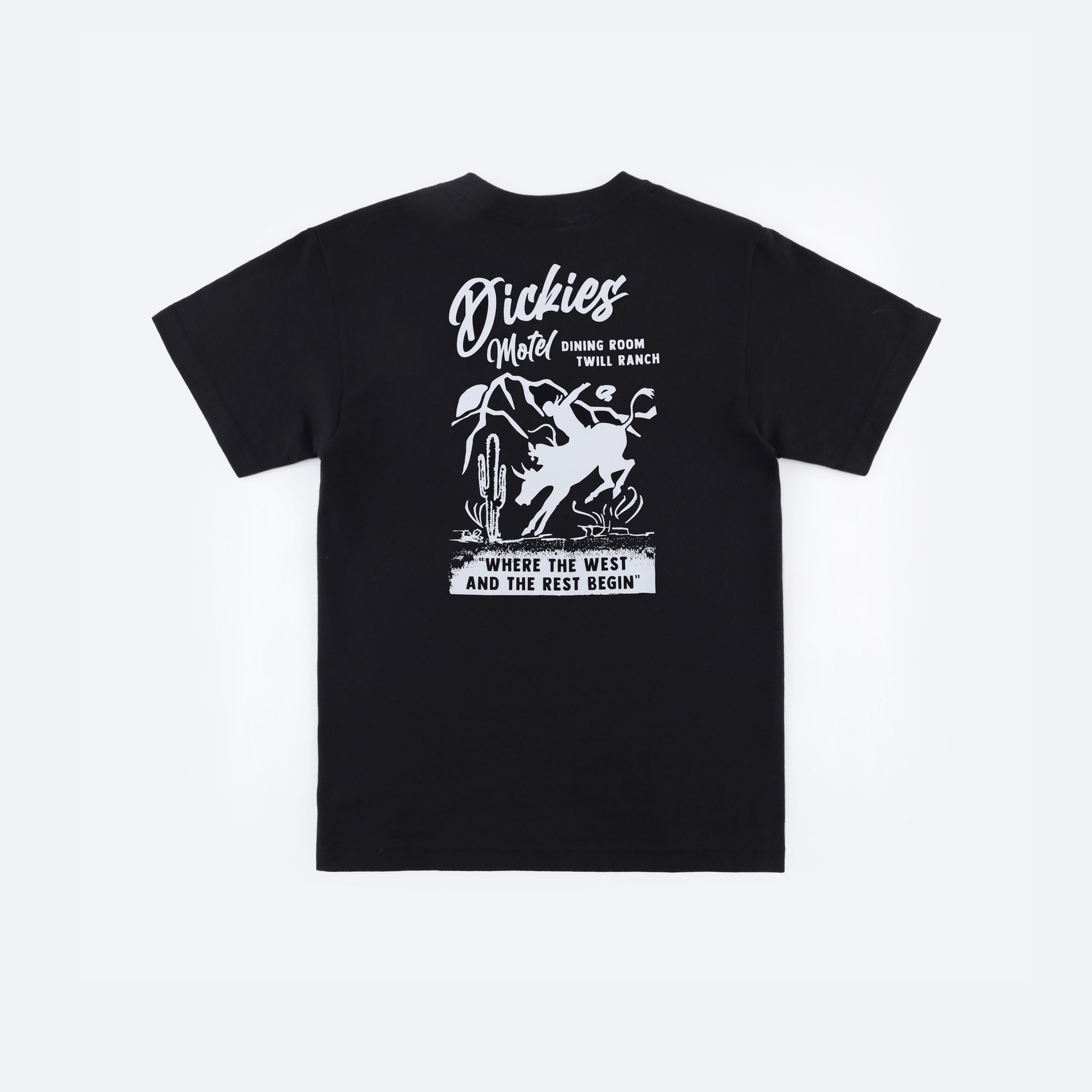 Футболка Dickies Dighton Graphic T-Shirt (black) артикул:WSR19 - купить в магазине Дайс