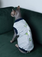 Одежда для сфинкса