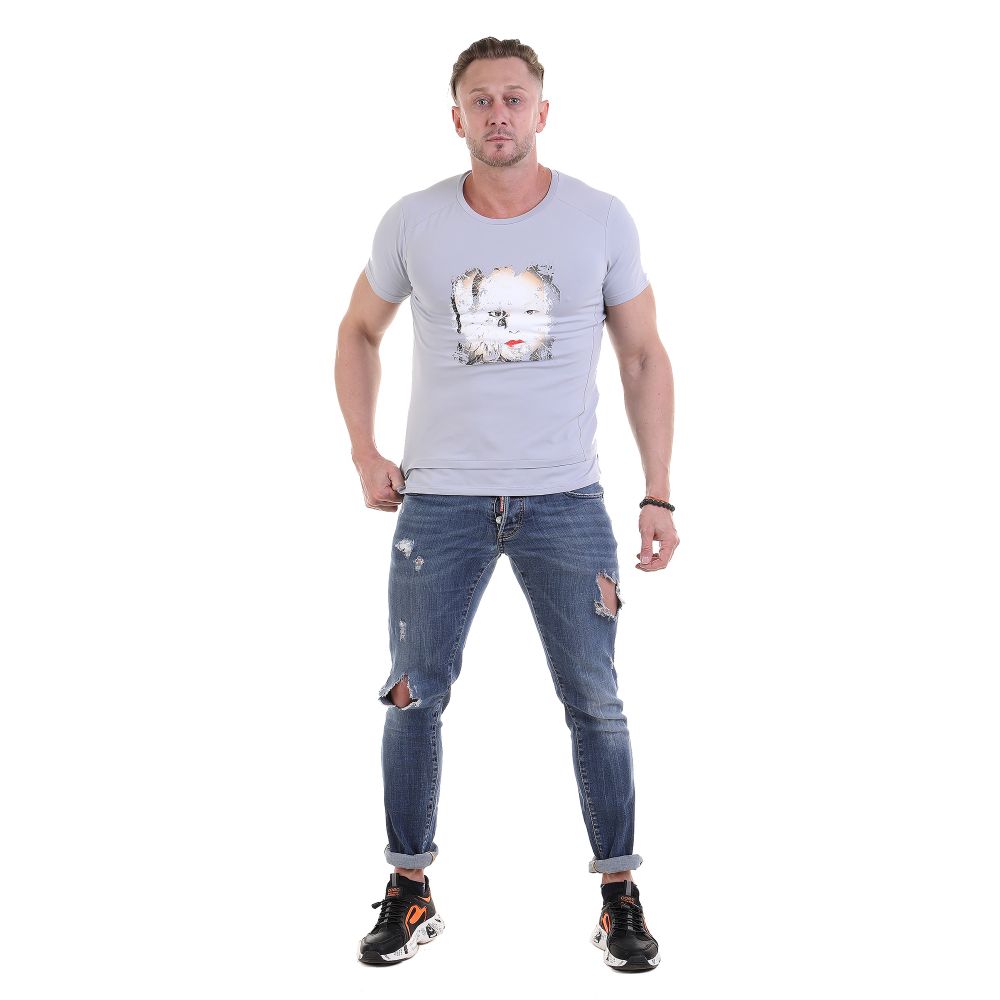 Мужская футболка с круглым вырезом серая с принтом Sesmik O007