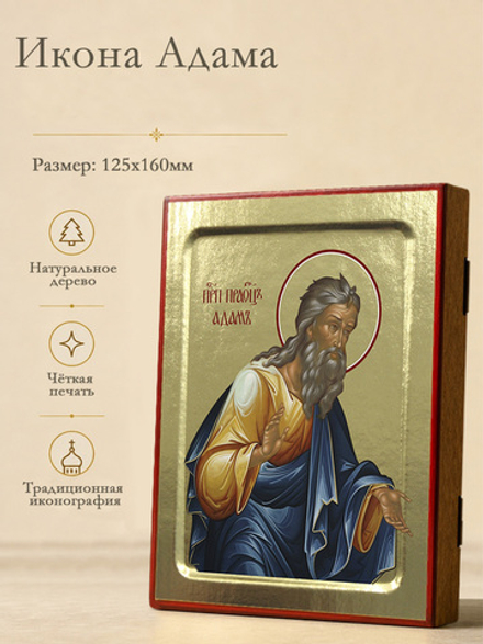 Икона Адама, праведного праотца на дереве: 125 х 160 (Синопсисъ)