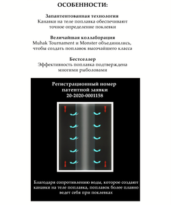 WILD MONSTER long carbon conical