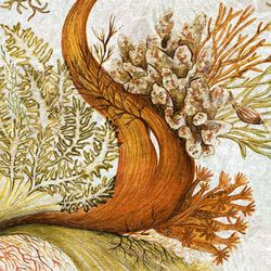 Бесшовная фреска ECO текстиль CORALS, 2,7 м (Ширина 4 м)