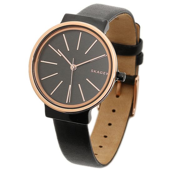 Женские часы Skagen SKW2480