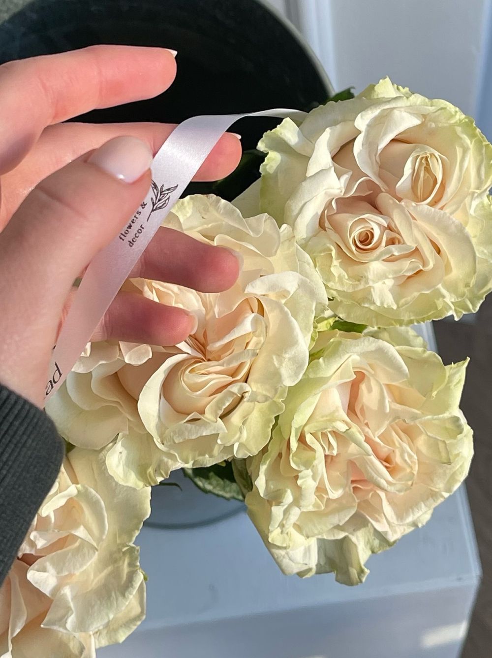 Роза кудрявая нежная одноголовая