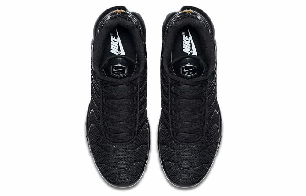 Кроссовки Nike Air Max Plus