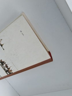 Богатырское поле