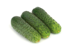 Караоке F1 семена огурца партенокарпического (Rijk Zwaan / Райк Цваан) (250 шт., PR)