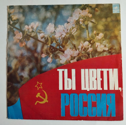 Винтажная виниловая пластинка LP Сборник Ты Цвети, Россия (СССР 1977)