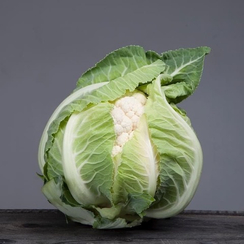 Ардент F1 семена капусты цветной (Clause / Клос)