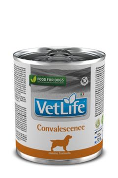Фармина VetLife Convalescence паштет для собак в период выздоровления