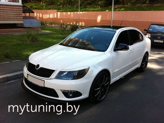 Реснички на фары для Skoda Octavia 2(II) A5 FL