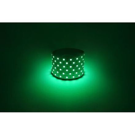 Лента светодиодная LS5050 -14.4-60-12-G-IP20-1 year-5m зел. (уп.5м) Эра Б0059920