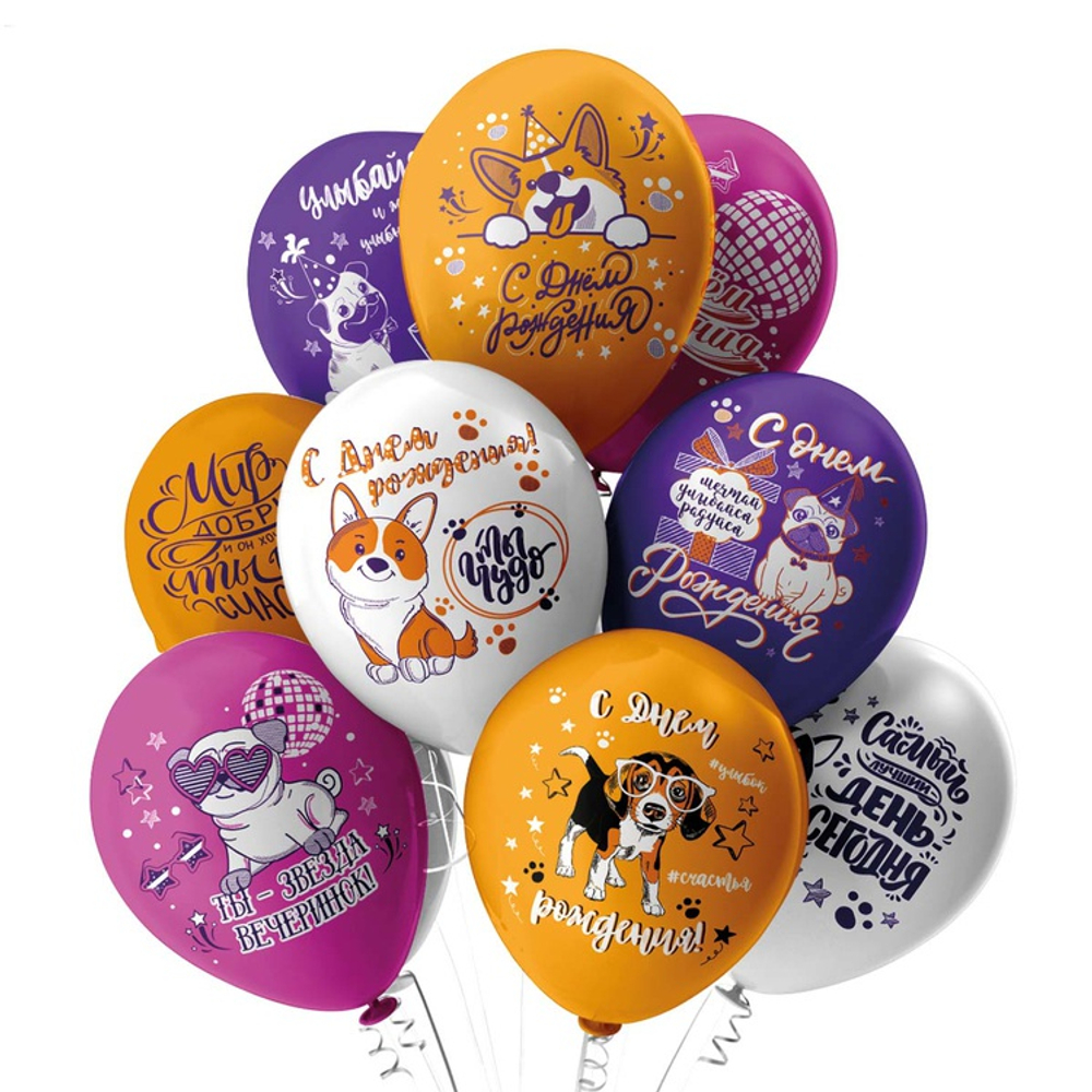 Шар латексный 30см С ДР! Собачки (Ассорти)