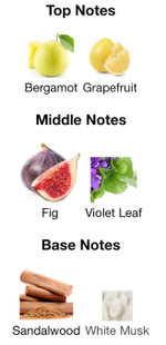 Dries Van Noten Santal Greenery