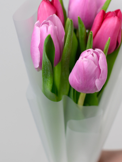 Тюльпаны микс