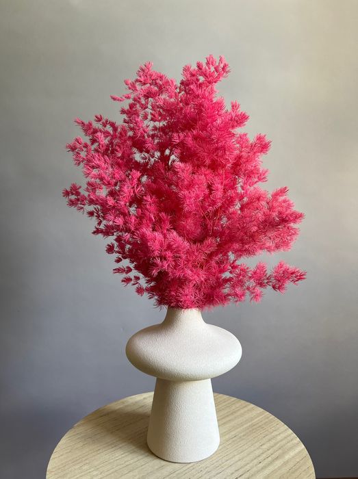 Стабилизированные цветы и зелень – купить в магазине | Сухоцветы ...