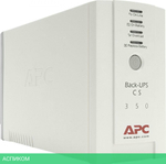 Источник бесперебойного питания APC BK500EI