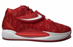 Кроссовки Nike Kd 14 Tb 14