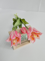 Тюльпаны лилиецветные / Арт 2525