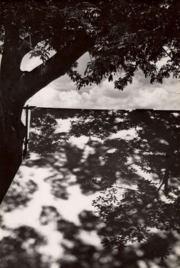 Почему «красиво» — это всегда спор