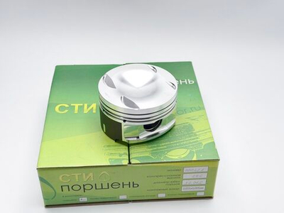 Поршни СТИ VolksWagen 2,0TSI DNPA, DUVA (EVO4)