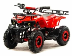 Электроквадроцикл Motoland ATV E009 1000W