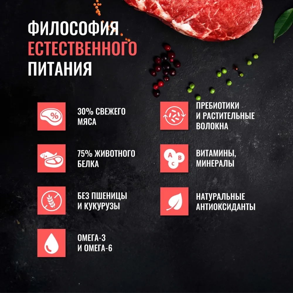 ОДНО МЯСО Сухой корм для взрослых собак всех пород с говядиной, 2 кг