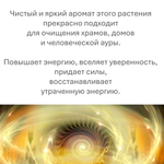Свечи скрученные с Эвкалиптом / Энергия и силы, 5 штук