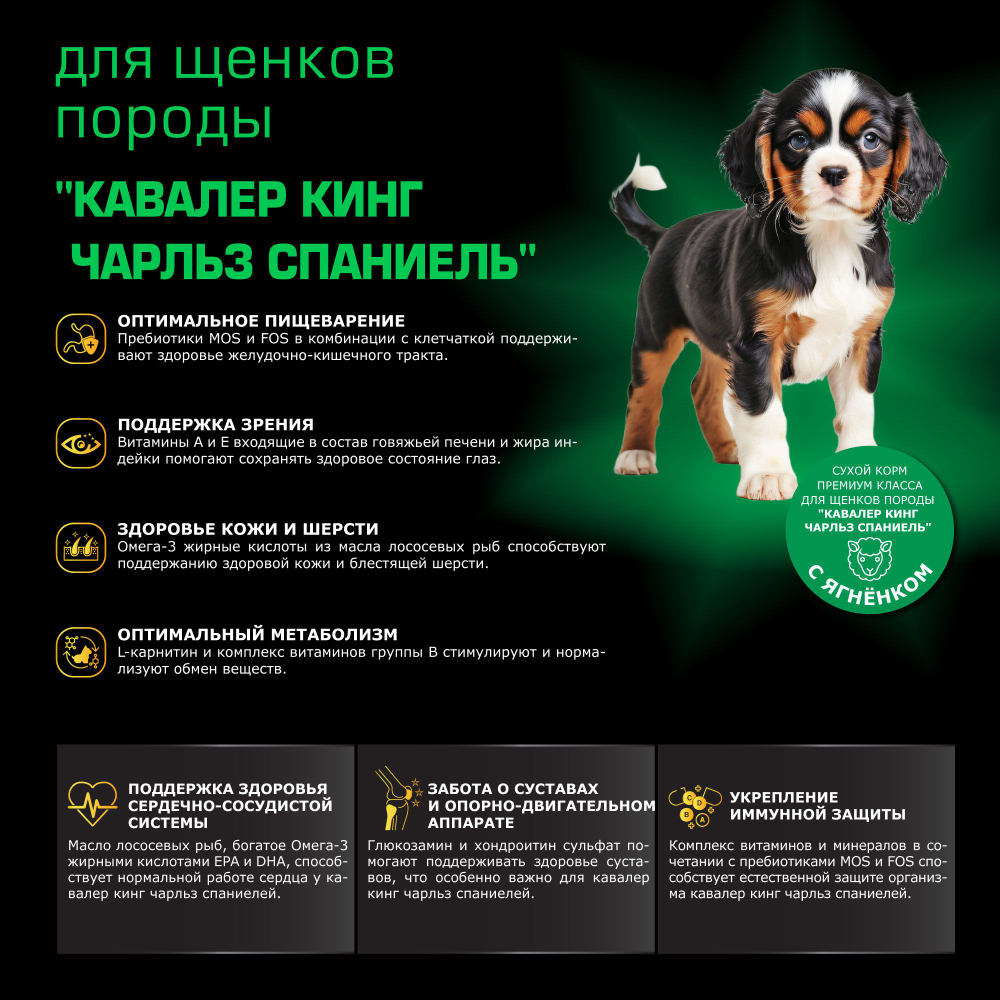 Корм сухой для щенков породы Кавалер кинг чарльз спаниель, премиум полнорационный комплекс, с ягненком, 800 гр, QUATTRO