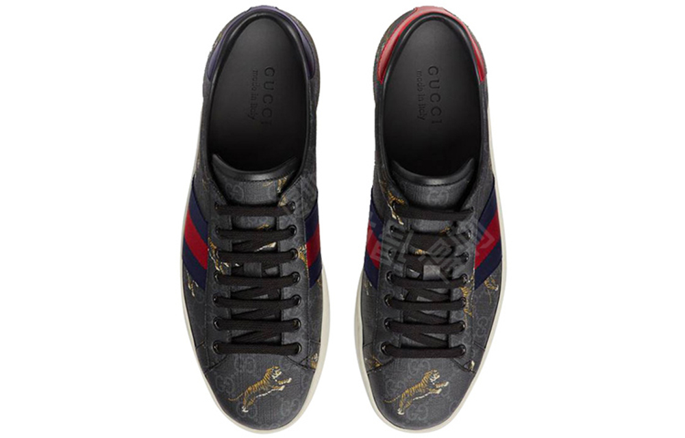 Gucci Ace