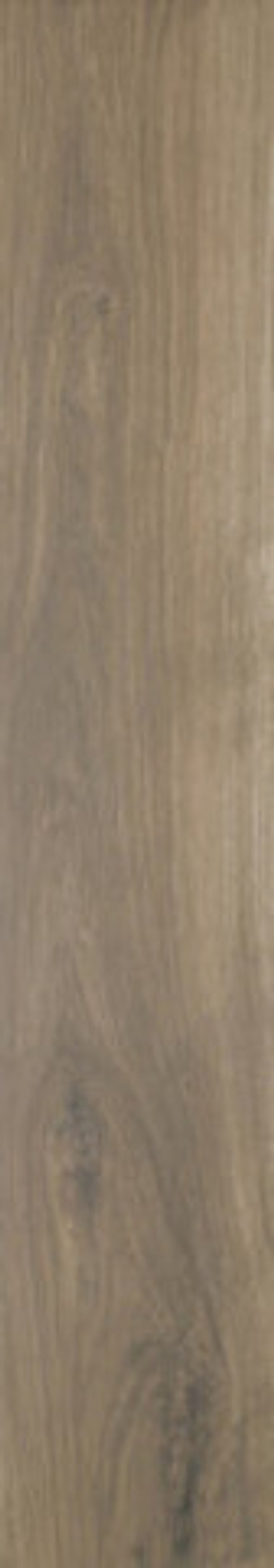 Керамогранит OREGON ROBLE RECT