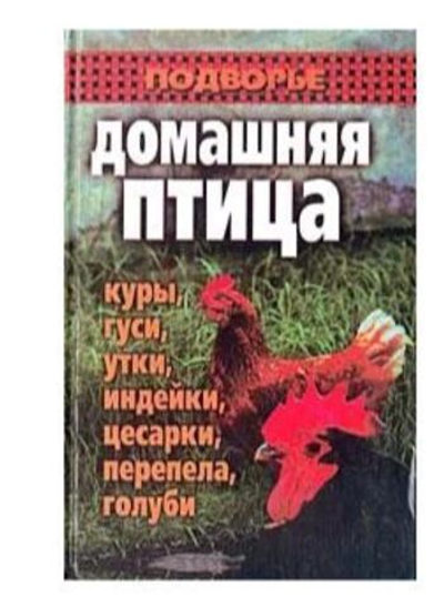 Домашняя птица: куры, гуси, утки, индейки, цесарки, перепела, голуби.