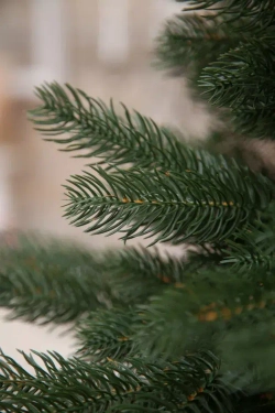 Искусственная елка Швейцарская стройная 230 см., 100% литая хвоя, Black Box (74624)