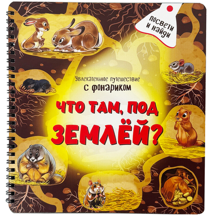 Книжка с фонариком "Что там, под Землёй?"