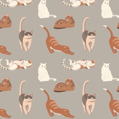 Уютные котики
