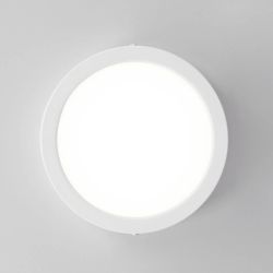 Citilux Галс CL5516N Светильник накладной светодиодный