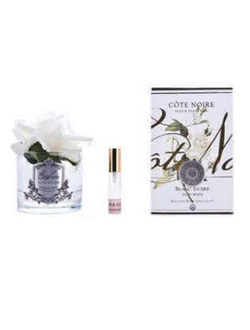 Диффузор French Rose Cote Noire Слоновая кость / Прозрачный