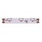 Светодиодная лента SWG 4,8W/m 60LED/m 315SMD холодный белый 5M 002200