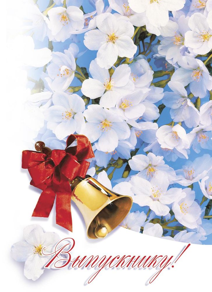 Папка выпускнику "Яблоневый цвет" (Полиграф)