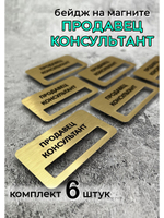 Бейдж на магните  6шт