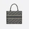 Сумка Dior Book Tote, темно-синий