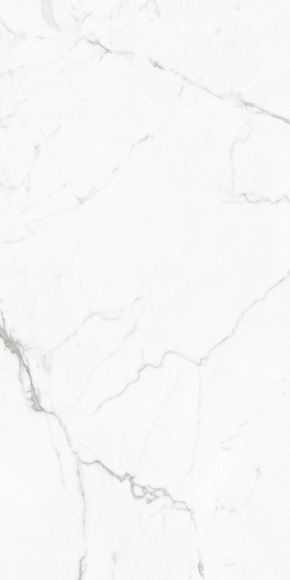 GT120604803PR Керамогранит Elegant Statuario_GT Бел. 60x120 полир.
