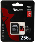 Карта памяти Netac P500 Extreme Pro NT02P500PRO-256G-R 256 Гб