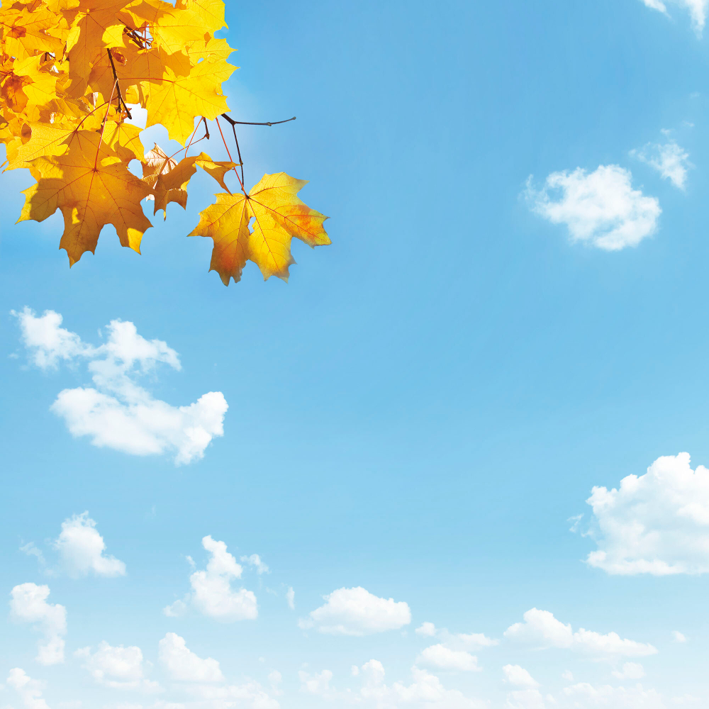 Коллекция Небо