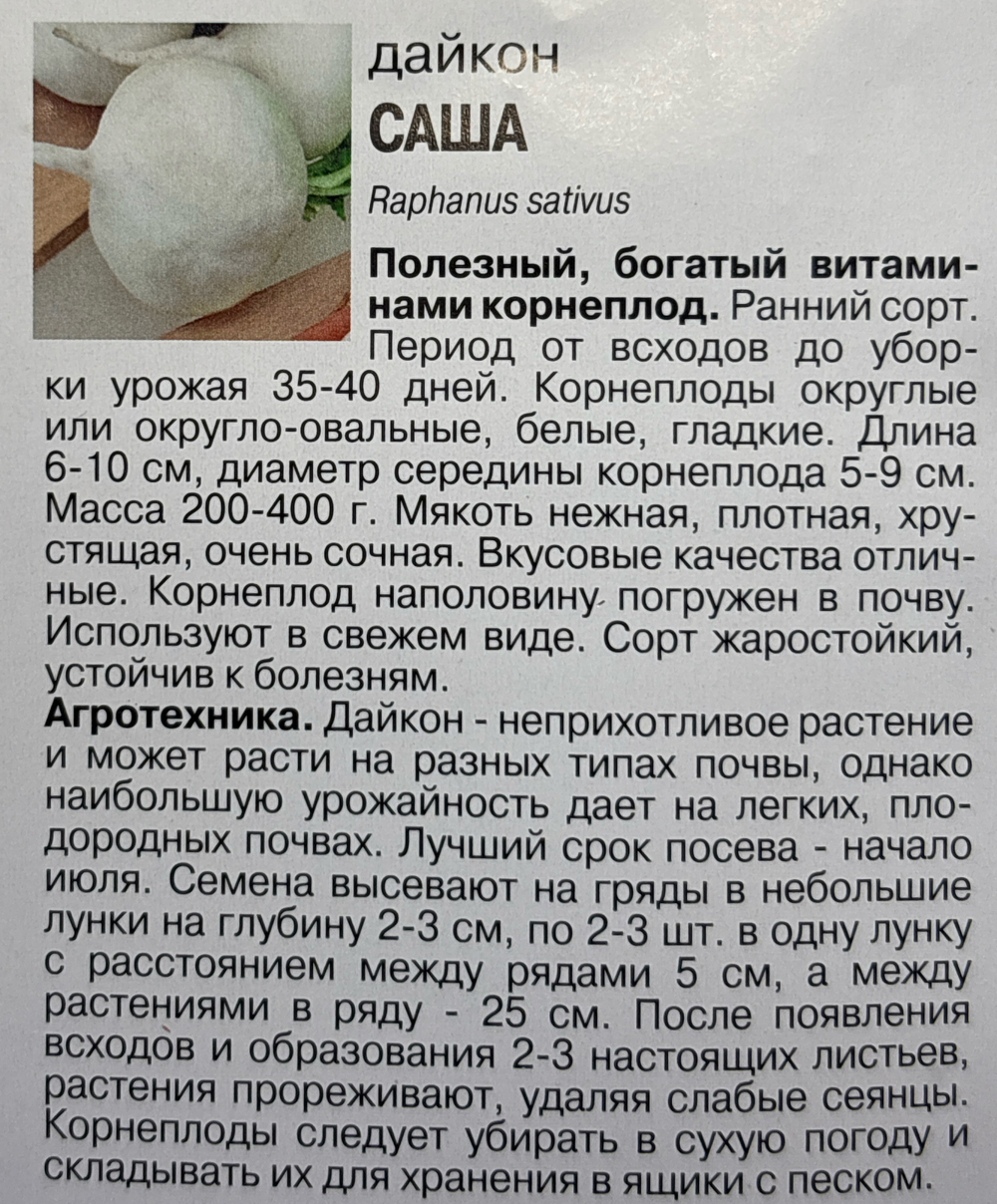 Дайкон Саша, 1г., Урожай Удачи СМЗ-219