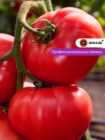 Томат Зари F1 розовый 20шт.