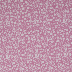 Постельное белье СайлиД BP-152 сатин