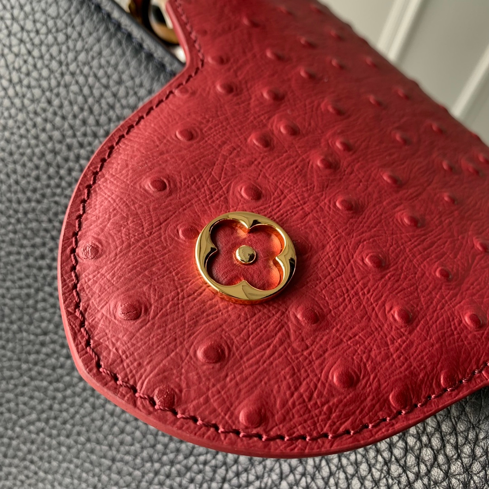 Louis Vuitton Capucines MM