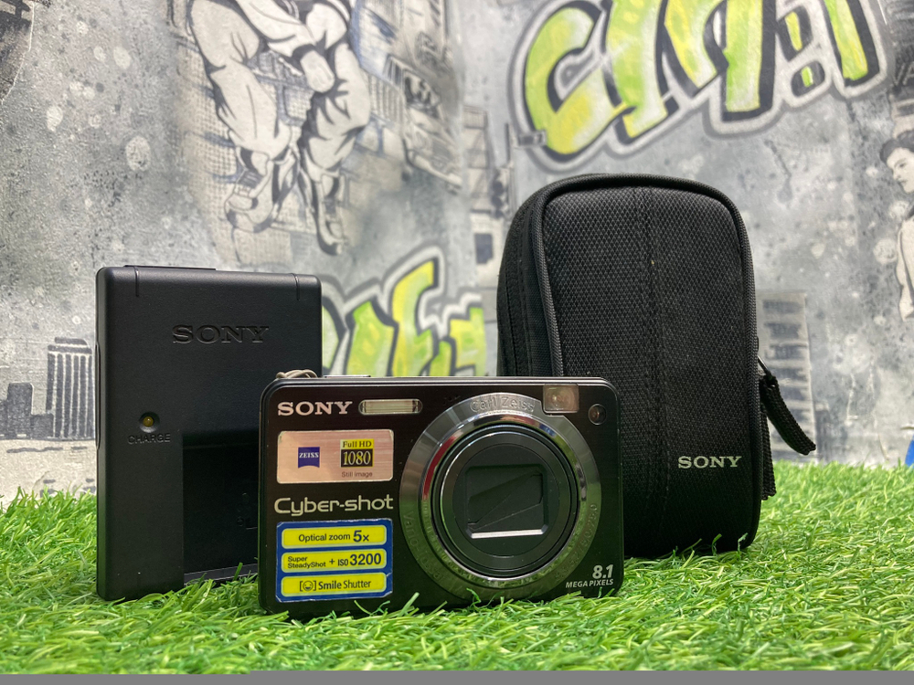 Sony W150