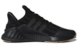 Кроссовки Adidas Originals Climacool